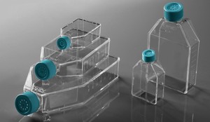 NEST 細胞培養角瓶 /  Cell Culture Flask