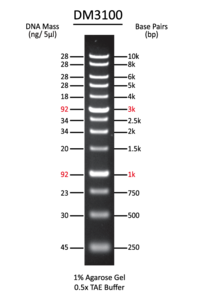 SMOBIO DNA分子量標準品