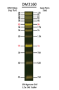 SMOBIO DNA分子量螢光標準品