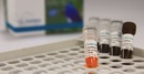 SMOBIO RT-PCR試劑